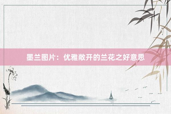 墨兰图片：优雅敞开的兰花之好意思