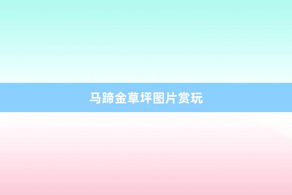 马蹄金草坪图片赏玩