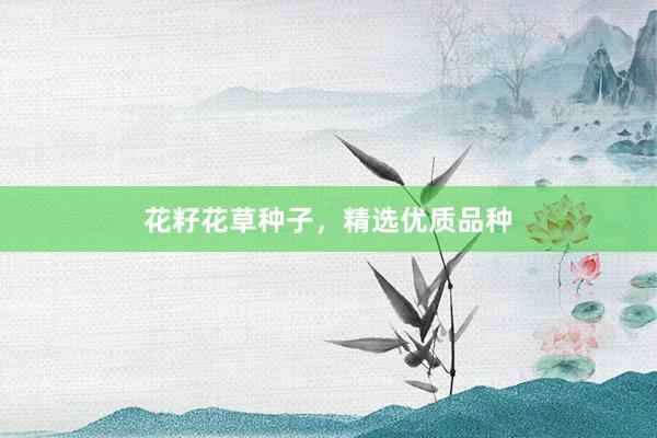 花籽花草种子，精选优质品种